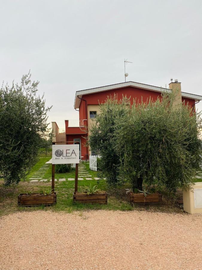 Olea B&B Montecosaro  Екстериор снимка