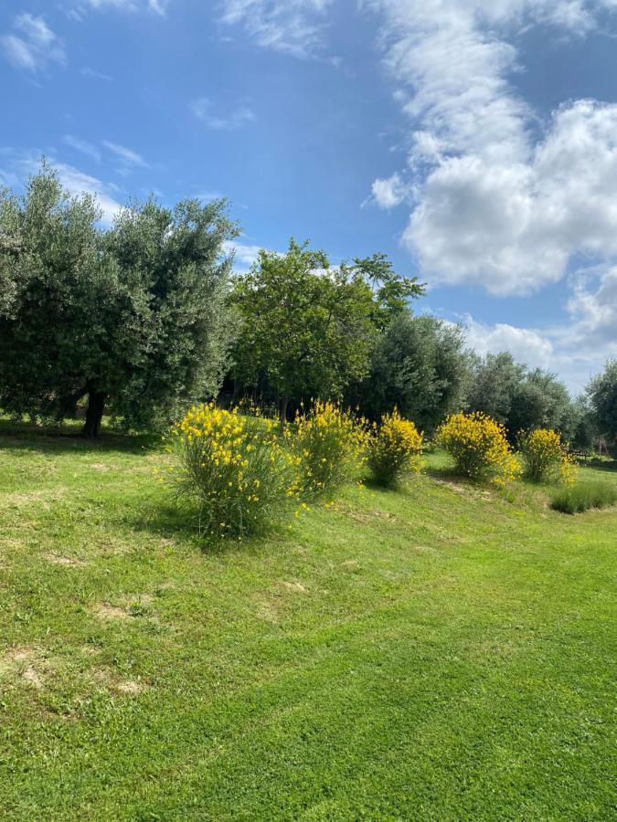 Olea B&B Montecosaro  Екстериор снимка